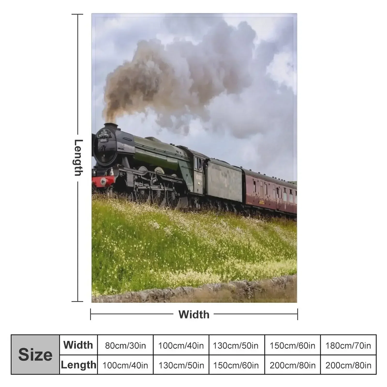The Flying Scotsman in Yorkshi - 3D Printing Yorkshire 评论和价格