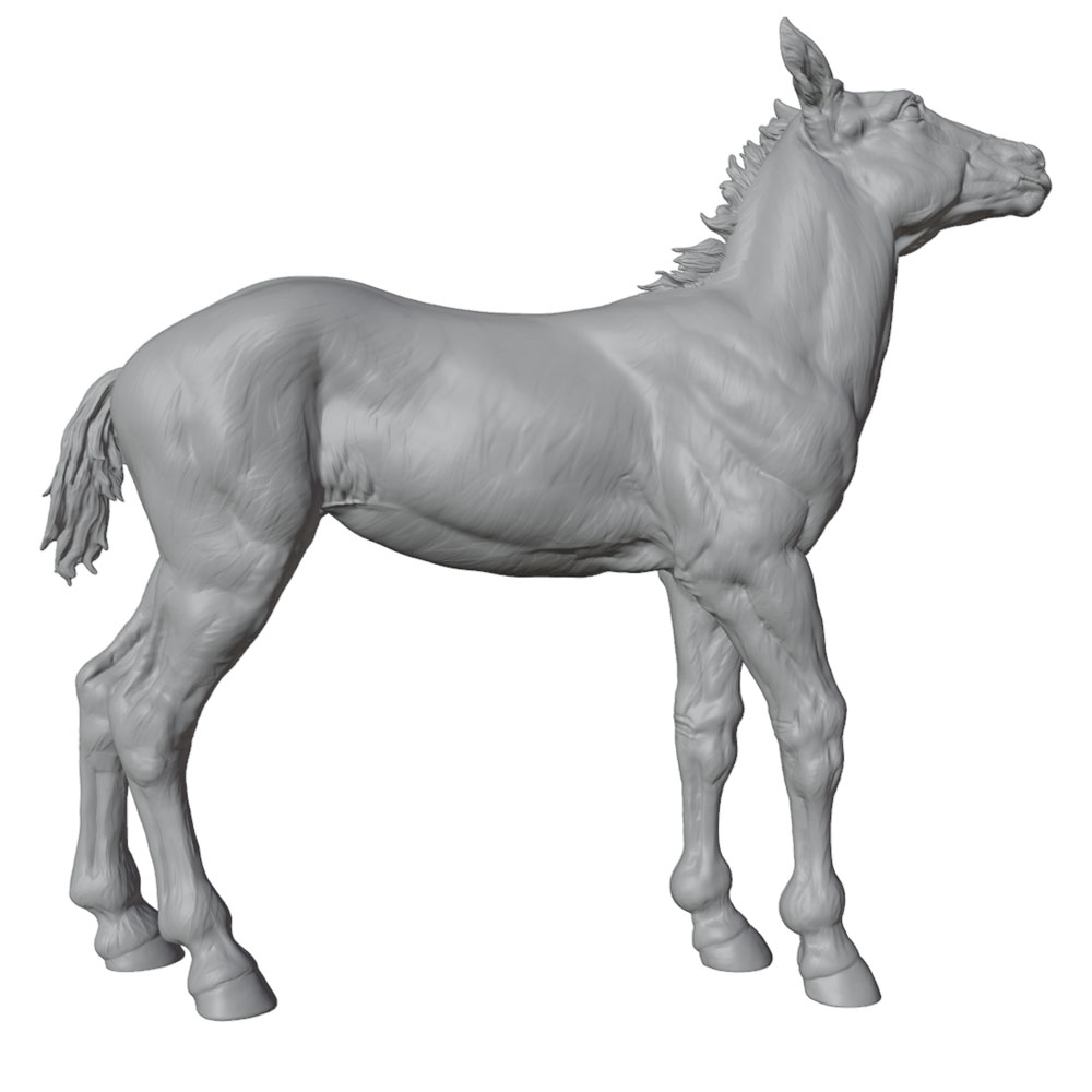 High-Detail Printing, Realisti - 3D Printing Article 评论和价格