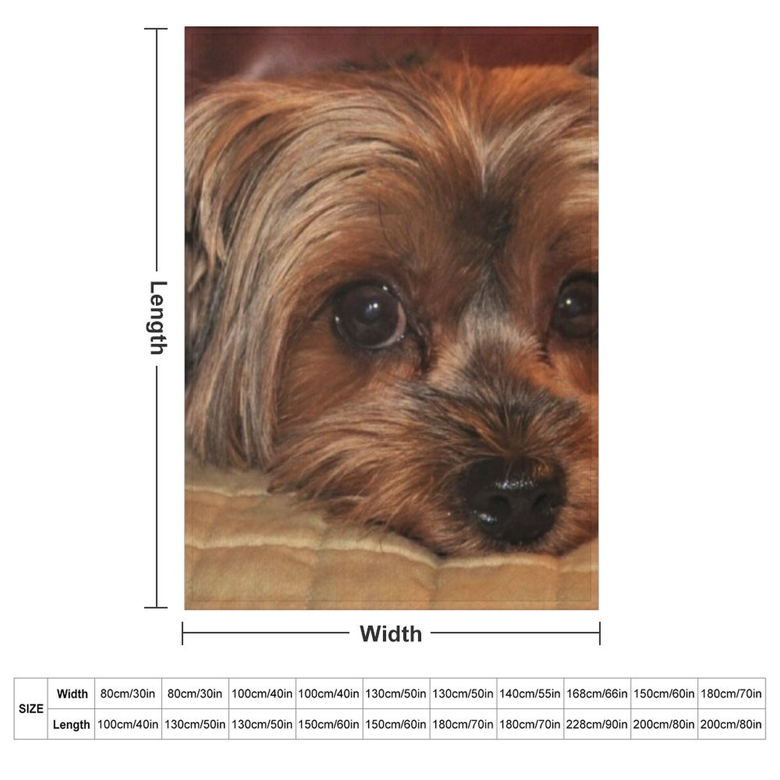 Cute Yorkshire Terrier Yorkie  - 3D Printing Yorkshire 评论和价格