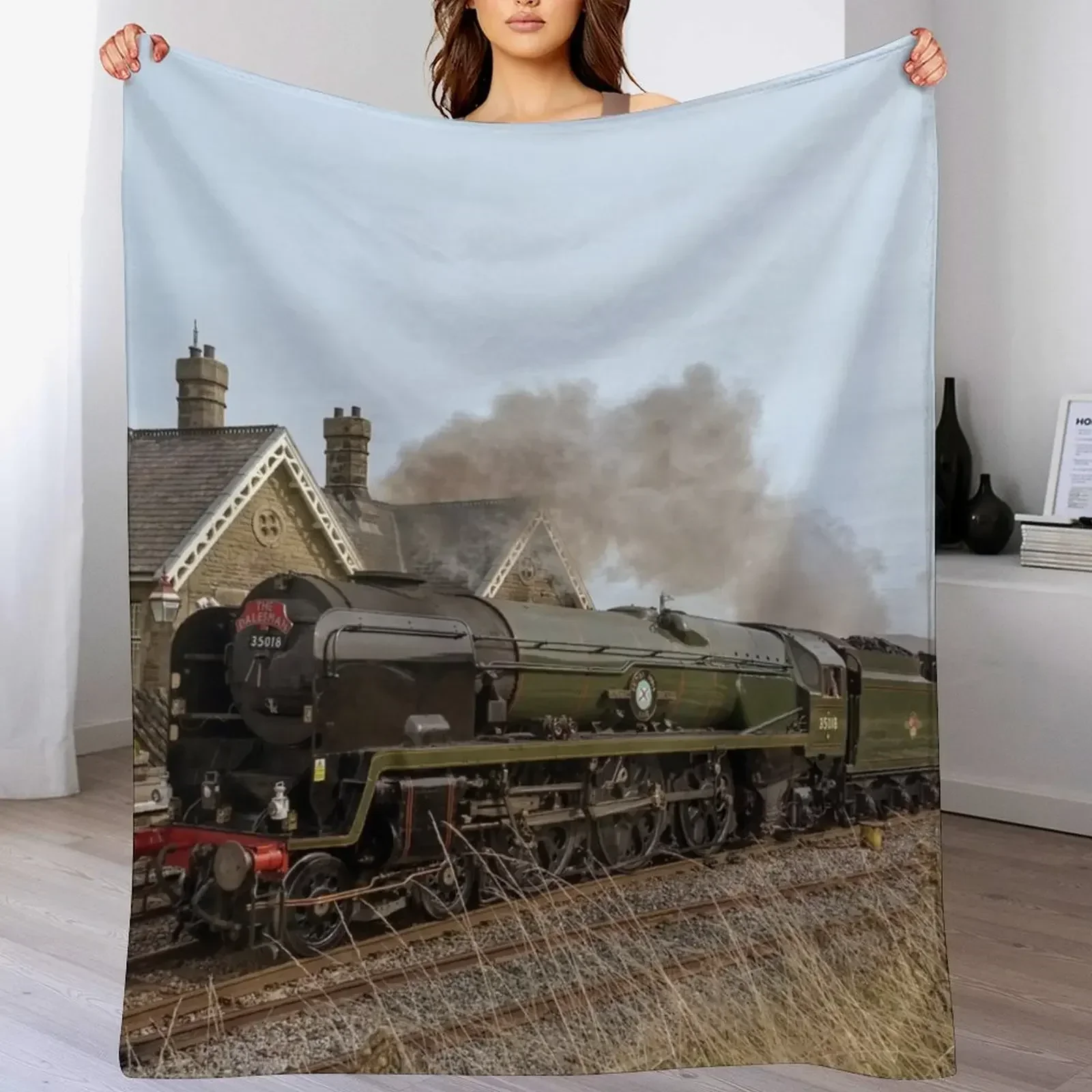 Steam train over Yorkshire moo - 3D Printing Yorkshire 评论和价格